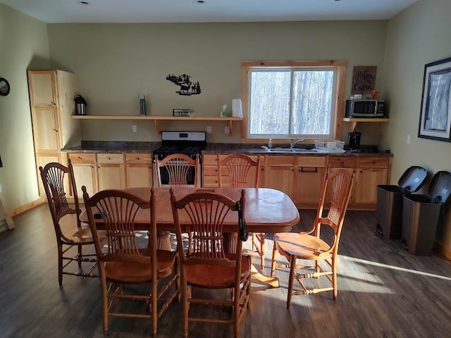 kitchen featuring sink, stainless steel appliances, dark wood-type flooring, and light brown cabinets