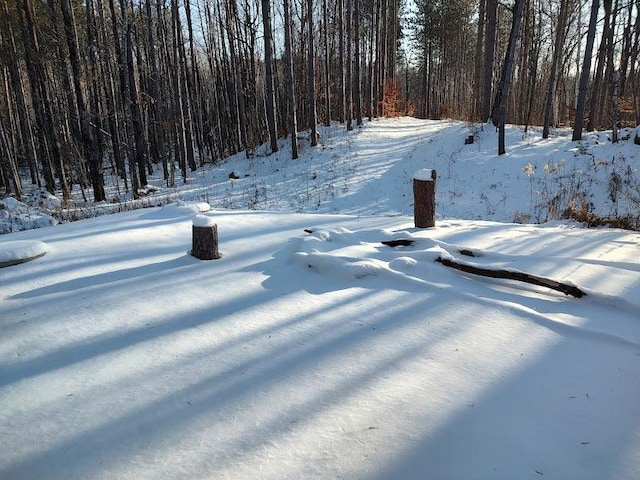 view of yard covered in snow