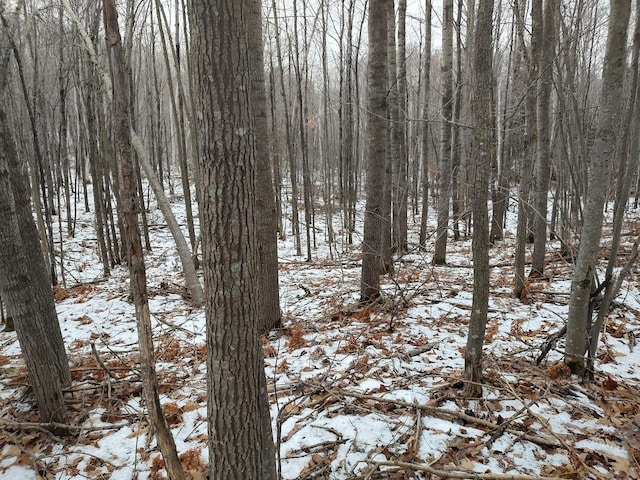 view of snow covered land