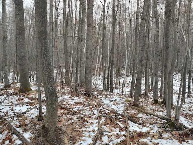 view of snowy view