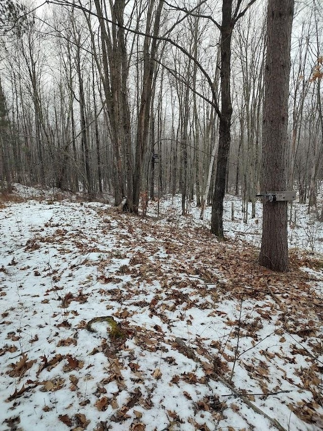 view of snow covered land