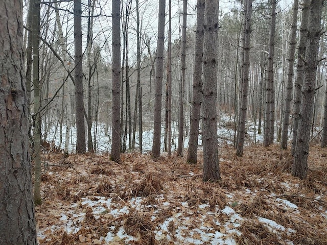 view of local wilderness