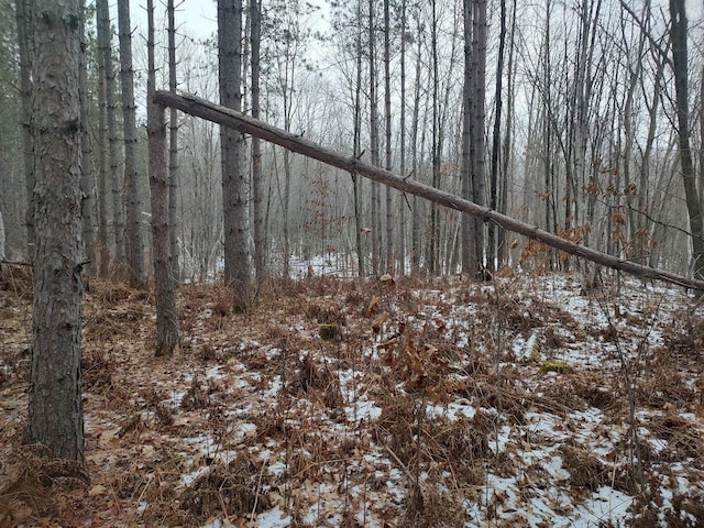 view of snow covered land