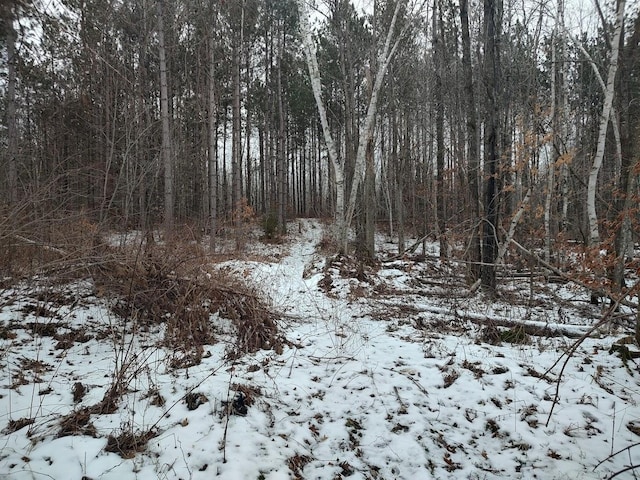 view of snow covered land