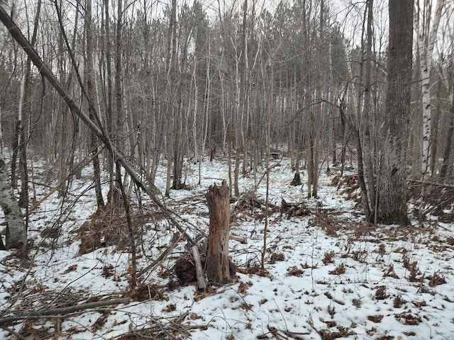 view of snow covered land