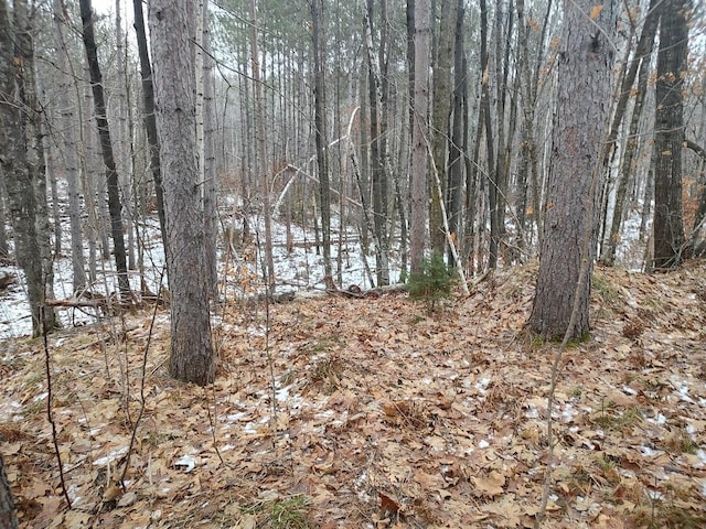 view of local wilderness