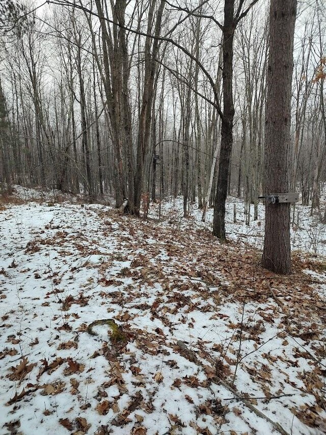 53914 Rutabaga Rd, Fleming Twp, MN 55712 - photo 27