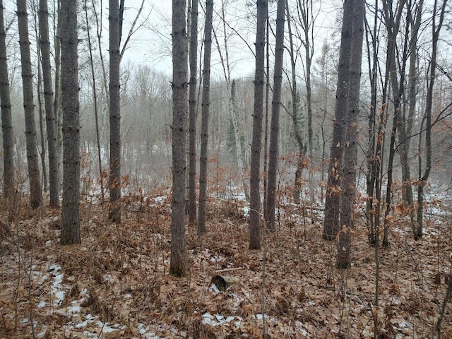 53914 Rutabaga Rd, Fleming Twp, MN 55712 - photo 29