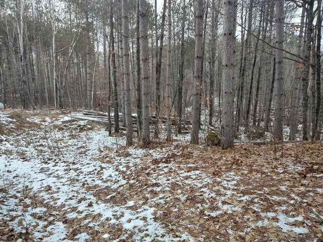 53914 Rutabaga Rd, Fleming Twp, MN 55712 - photo 36