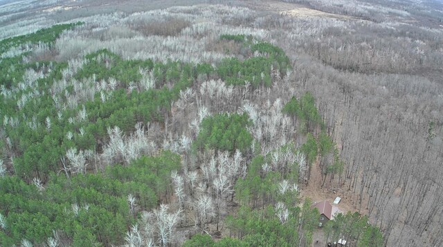 53914 Rutabaga Rd, Fleming Twp, MN 55712 - photo 42