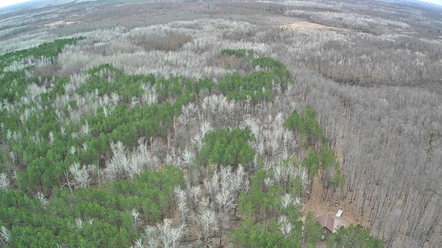53914 Rutabaga Rd, Fleming Twp, MN 55712 - photo 44