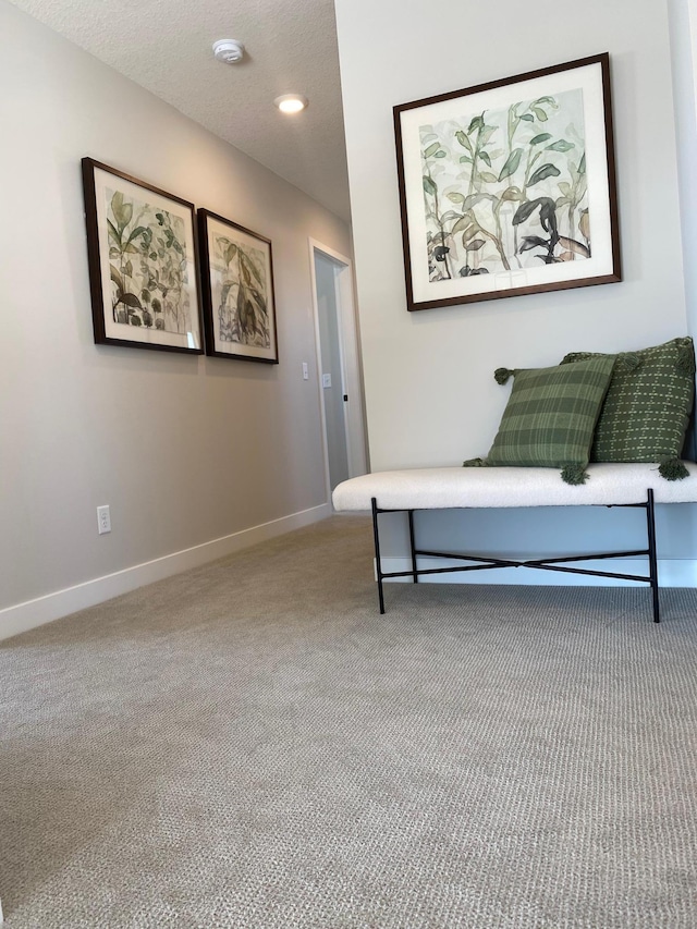 sitting room featuring carpet and a textured ceiling