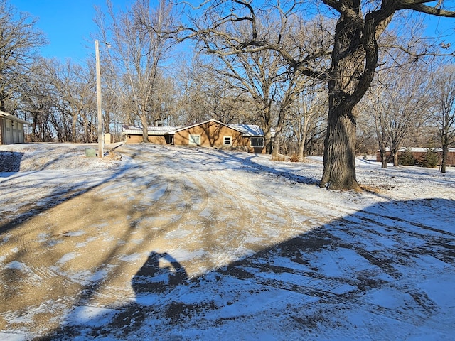 view of yard covered in snow