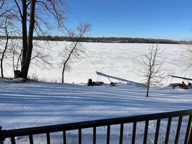 view of yard covered in snow