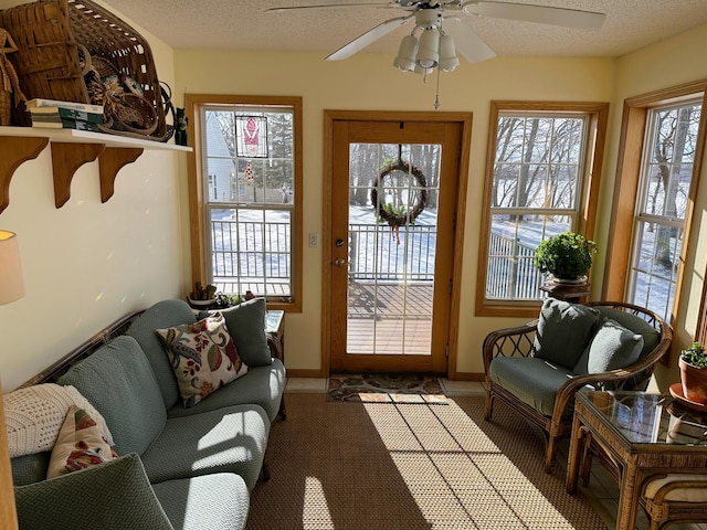 doorway featuring ceiling fan, a textured ceiling, and carpet flooring