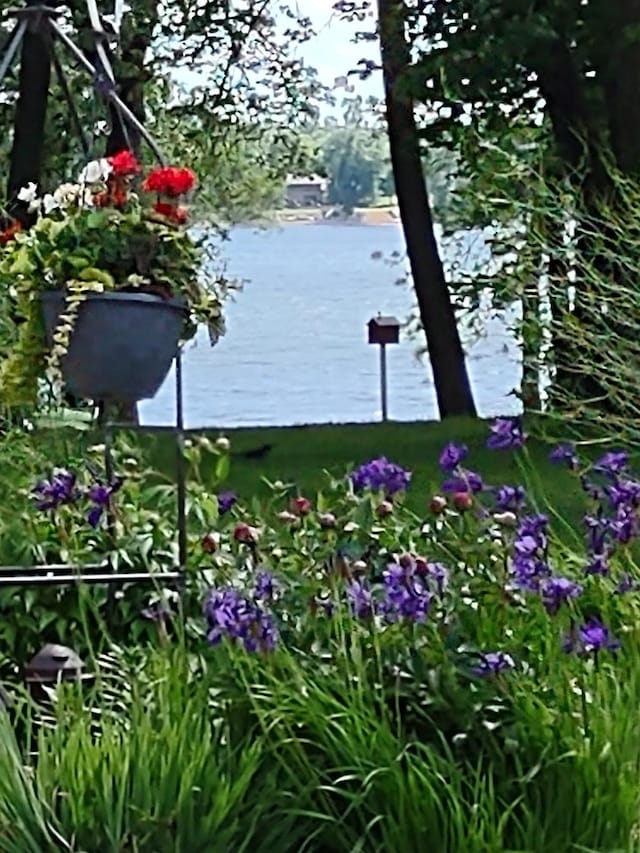 view of water feature