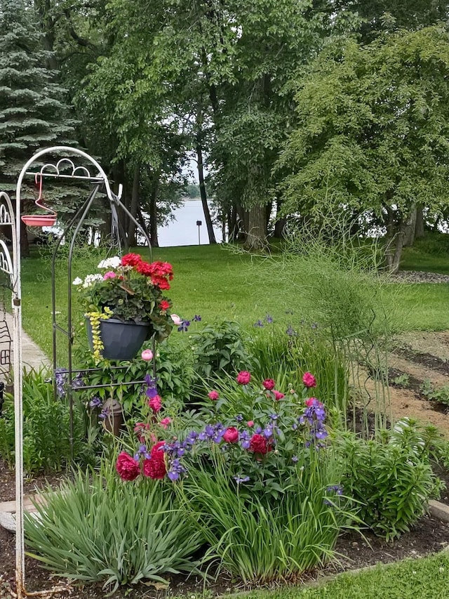 43561 Paul Lake Dr, Edna Twp, MN 56573 - view of yard