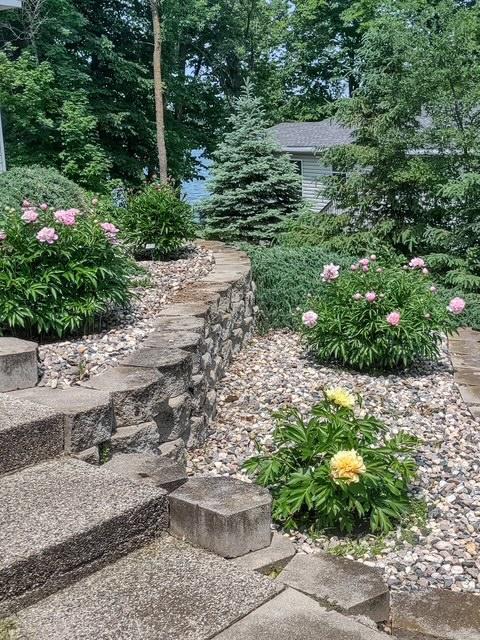43561 Paul Lake Dr, Edna Twp, MN 56573 - view of yard