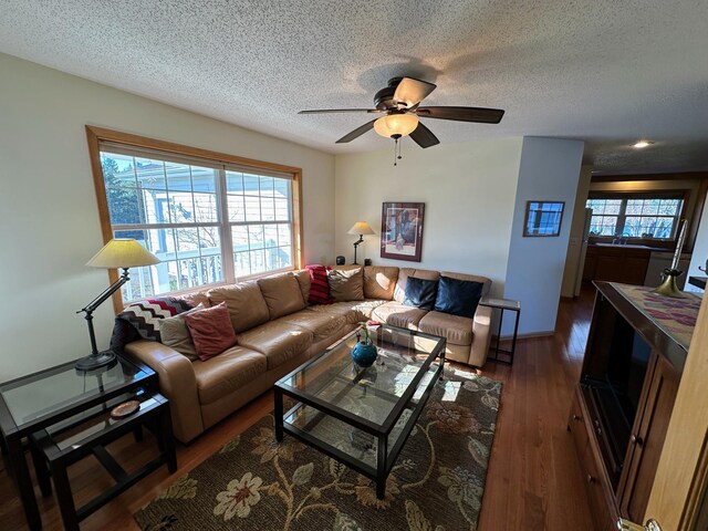 43561 Paul Lake Dr, Edna Twp, MN 56573 - living area with a ceiling fan, a textured ceiling, and dark wood finished floors