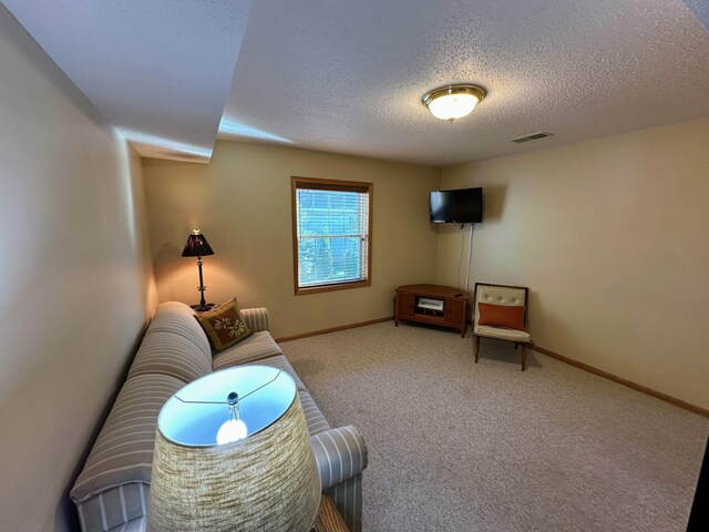 43561 Paul Lake Dr, Edna Twp, MN 56573 - living room featuring a textured ceiling, carpet, and baseboards