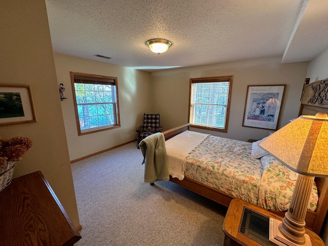 43561 Paul Lake Dr, Edna Twp, MN 56573 - bedroom with multiple windows, carpet, a textured ceiling, and baseboards
