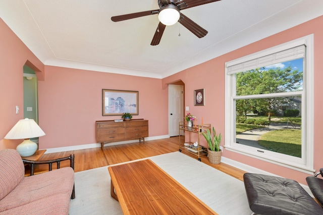 living room featuring ceiling fan and light wood-type flooring