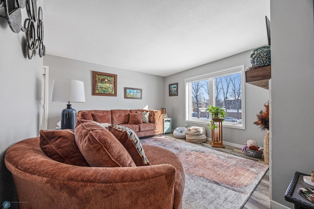 living room featuring hardwood / wood-style flooring