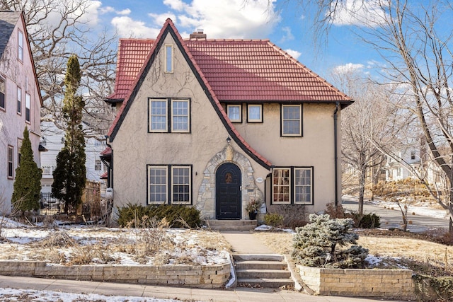 view of tudor-style house