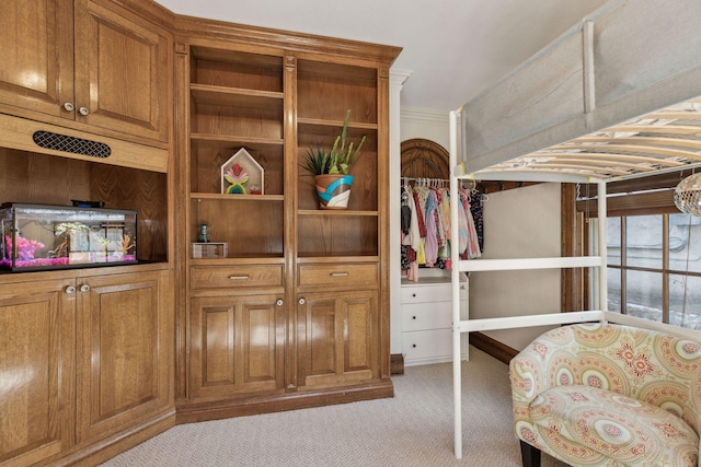 spacious closet with light colored carpet