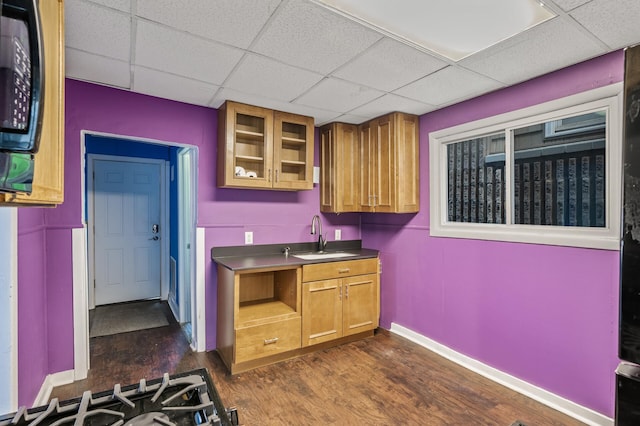 kitchen featuring a paneled ceiling, dark hardwood / wood-style floors, and sink