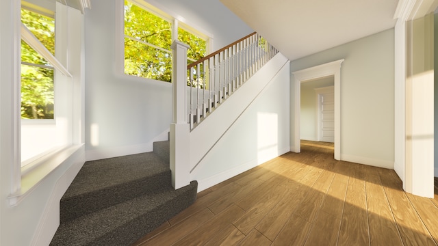 stairway with hardwood / wood-style floors