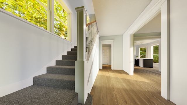 stairway featuring hardwood / wood-style flooring and plenty of natural light