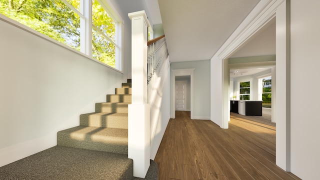 stairway with wood-type flooring