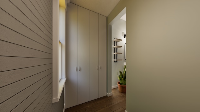 hallway with wooden walls and dark wood-type flooring