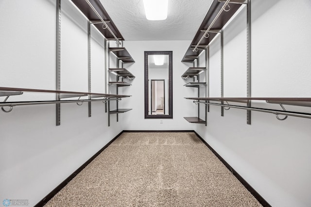 walk in closet featuring light carpet