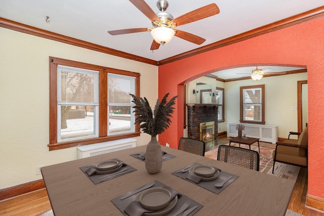 dining space featuring radiator, a fireplace, ceiling fan, crown molding, and light wood-type flooring