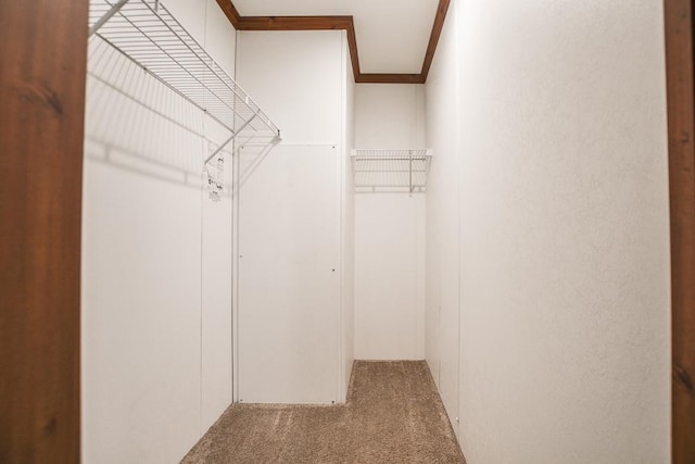 spacious closet with carpet floors