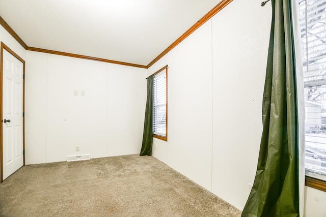 spare room with crown molding and carpet flooring