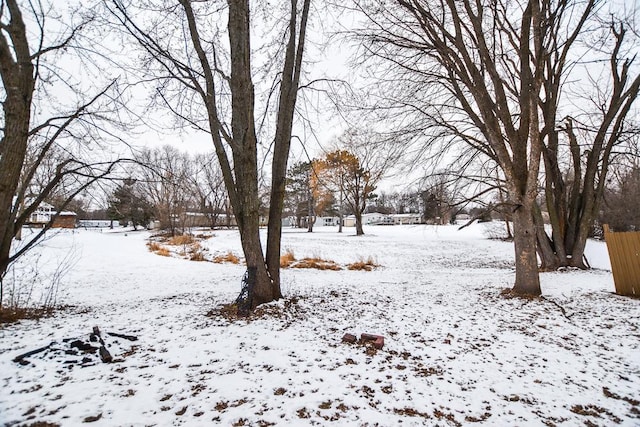 view of snowy yard