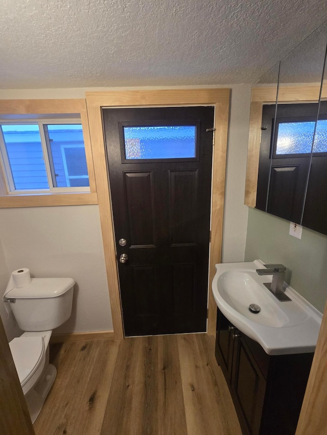 bathroom featuring toilet, vanity, and wood-type flooring