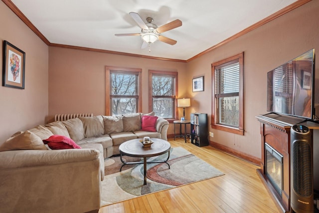 living room featuring crown molding, ceiling fan, and light wood-type flooring