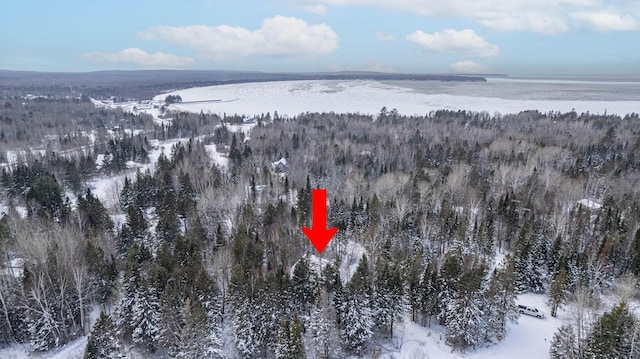 snowy aerial view with a water view