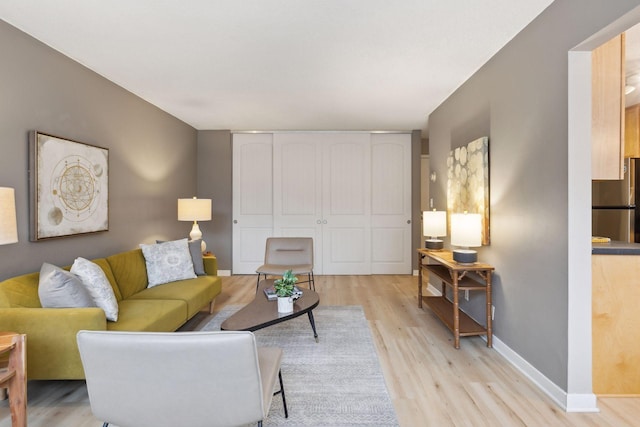 living room featuring light hardwood / wood-style flooring