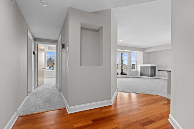 hall with hardwood / wood-style floors