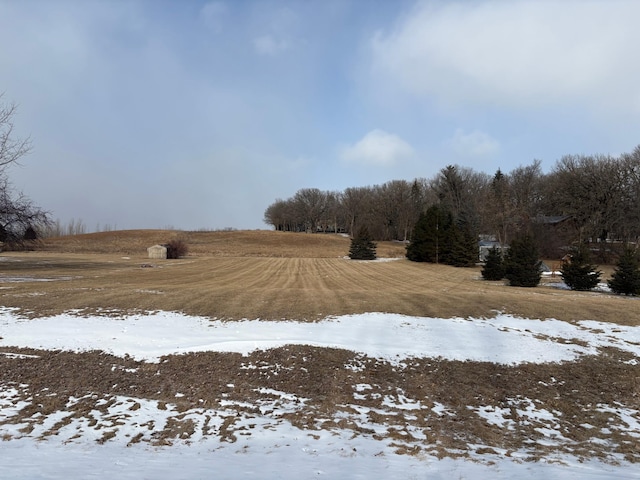 XXX 196th Rd, Hutchinson MN, 55350 land for sale