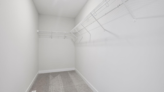 spacious closet featuring carpet floors