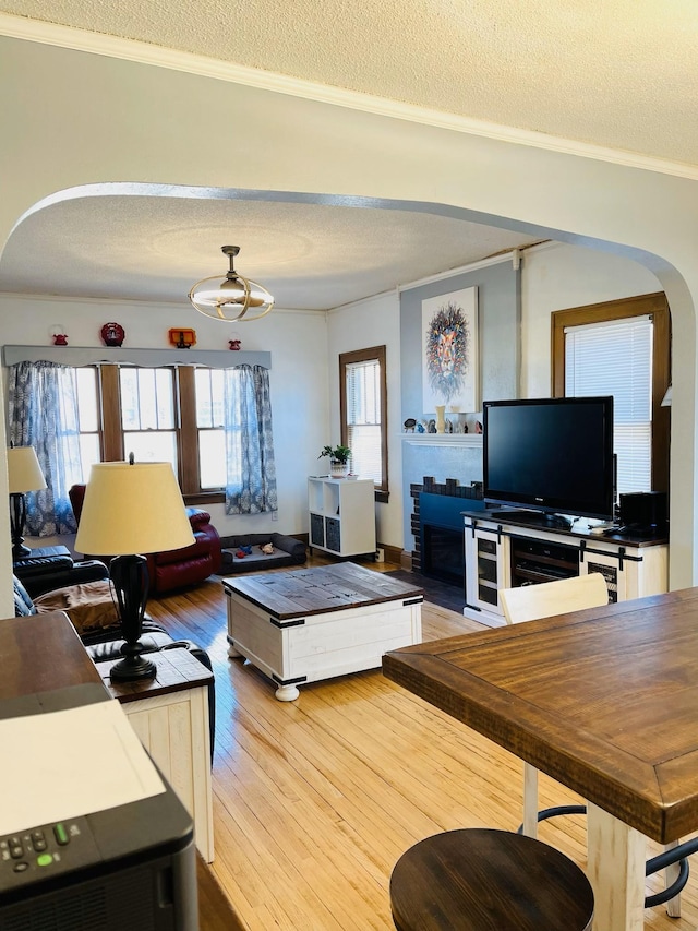 living room with wood-type flooring, crown molding, and a textured ceiling