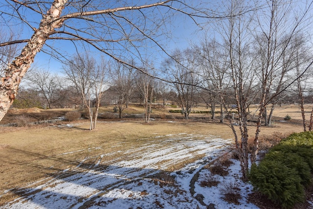 view of yard covered in snow