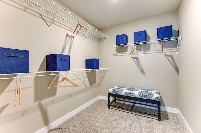 walk in closet with carpet