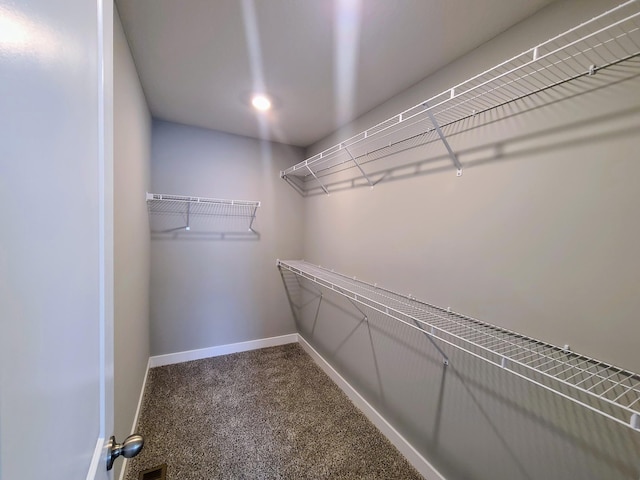 spacious closet featuring carpet flooring